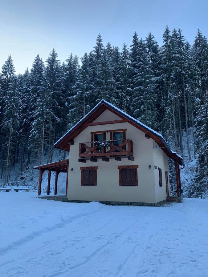 Chata Mosnica Lazisko Exterior foto